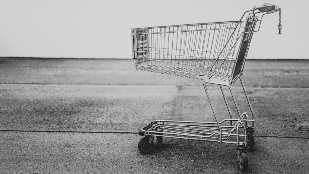 Professional product descriptions can help reduce abandoned cart items on your e-commerce store.